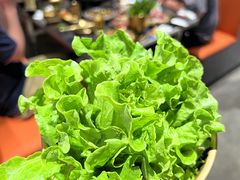 -大千金齐齐哈尔烤肉(清湖店)