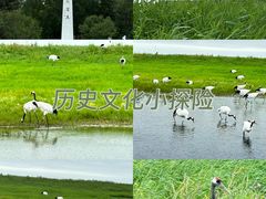 -黑龙江扎龙生态旅游区