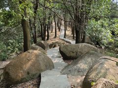 -火炉山森林公园