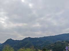 -后柳水乡