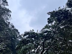 -青城山
