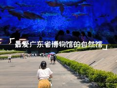 -广东省博物馆