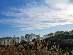 -西湖风景区-江洋畈生态公园