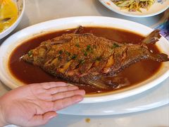 -华庭苑农家乐(旺山店)