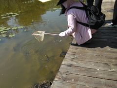 -大湾区中央湿地公园