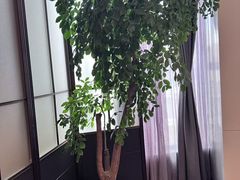 -泓历皇朝酒店(东亭店)