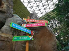 -杭州开元森泊度假乐园