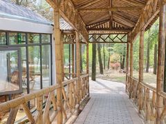 -竹上云想餐厅民宿