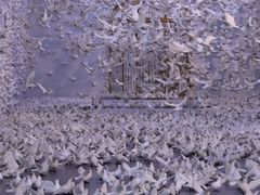-上海宝龙美术馆