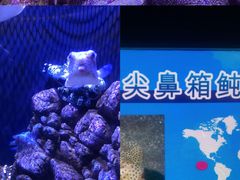 -成都浩海立方海洋公园