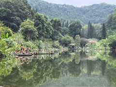 -深圳仙湖植物园