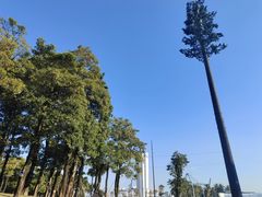 -华侨公园