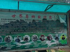-长寿村