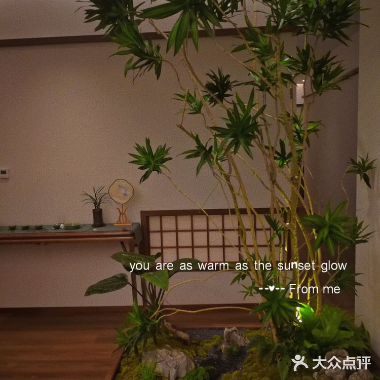 梵音素食·茶空间|城市里的乌托邦