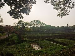 -西溪国家湿地公园