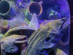 -太平洋海底世界