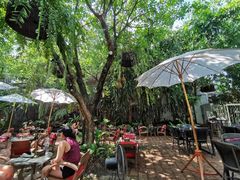 -Fern Forest Cafe