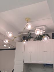-潘多拉Hairsalon