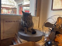 -正阳书局(西四南大街店)
