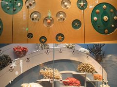 -中国湿地博物馆