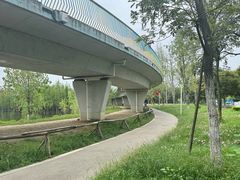 -白鹭湾湿地公园