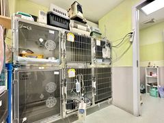 -瑞鹏宠物医院·宠保定点·心脏科·内科(御桥分院)