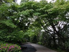 -新高轮格兰王子大酒店