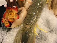 -鲜入围煮花胶鸡海鲜火锅