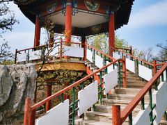 -莲花池公园