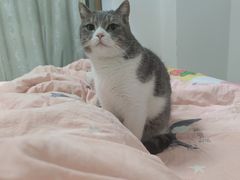 -宠福鑫康馨动物医院·骨科·眼科