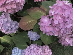 -常州古运河南大街文化旅游区-人民公园