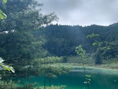 -武陵山森林公园