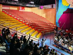 -俄罗斯国家大马戏团