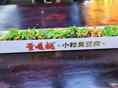 -董顺桃老长沙臭豆腐(步行街店)