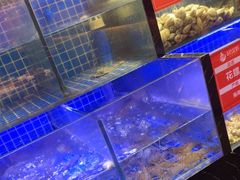 -去吃龙虾|鲜活小海鲜·鲜货烧烤(红林世界城店)