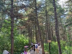 -帽儿山国家森林公园