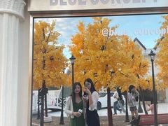 -Blue Concept Cafe&Farm·關於藍