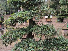 -龙架山森林公园