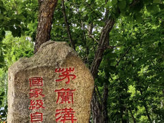-茅兰沟国家森林公园