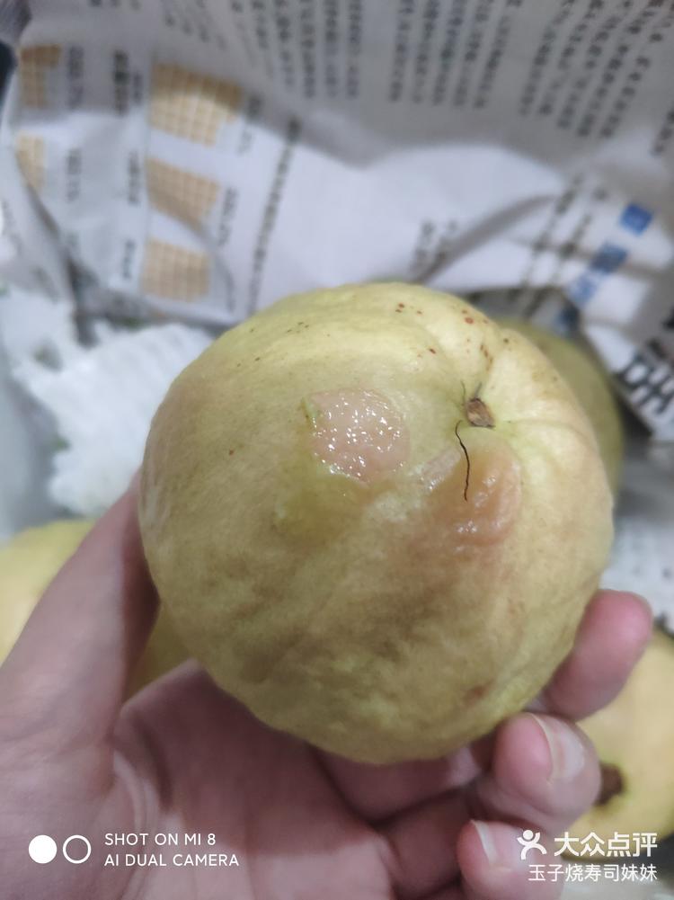 人生就像这个烂芭乐