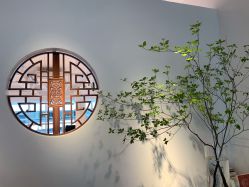 -柏姿舞蹈工作室