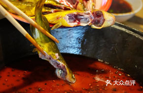 Hā'ér Yellow Catfish