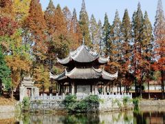 -习家池