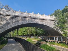 -白水寺森林公园