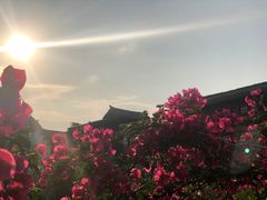 -两江国际影视城