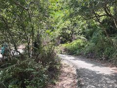 -石排湾郊野公园