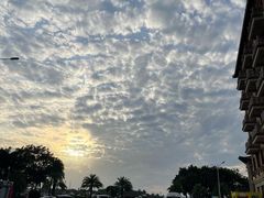 -八婆婆烧仙草(中山路店)