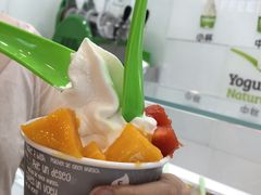 -Salud撒露欧洲冻酸奶(蓝色港湾店)