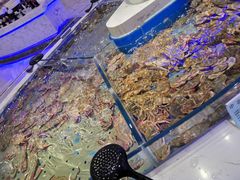 -澜悦港海鲜体验主题餐厅
