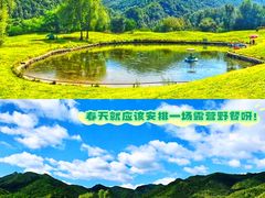 -沉浸北京·团建旅行·密室剧本杀·年会会议轰趴拓展
